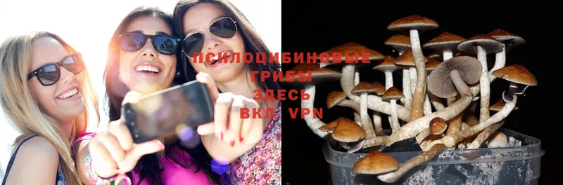 Псилоцибиновые грибы Cubensis  MEGA ССЫЛКА  Верхний Тагил 